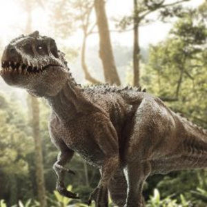 Meet your Posher, Isabel